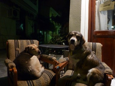 Excuse me, we were talking