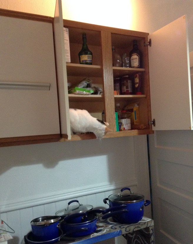 They need watching you know